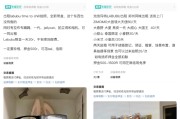 天降五夫闲鱼：LABUBU搜索量环比上涨1000%，供不应求下现租赁新形式