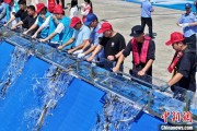 天降五夫2025年全国水生生物同步增殖放流活动在福建举行