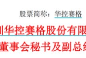 天降五夫华控赛格董事长、董秘、副总经理三高管同日辞职
