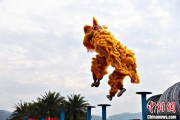 天降五夫（文化中国行）壮乡狮舞闯南洋：脚踏“云桩” 饮誉海内外